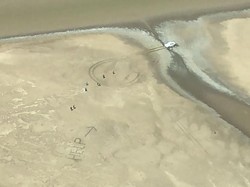 Pasangan Ini Selamat dari Sarang Buaya Setelah Menulis HELP