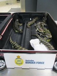 (Australian Border Force)