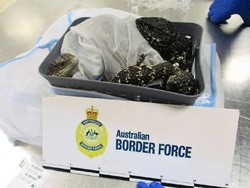 Kena Tangkap! Penumpang Pesawat Selundupkan 19 Kadal di Koper