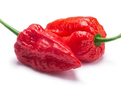 Umami hingga Ghost Pepper Masuk 17 Kosa Kata Kuliner Baru Merriam-Webster
