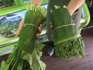 Ramah Lingkungan, Supermarket di Bali hingga Vietnam Pakai Kemasan Daun pisang Ramah Lingkungan, Supermarket di Bali hingga Vietnam Pakai Kemasan Daun pisang