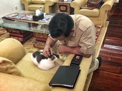 Berbicara dengan Hewan dan Perilaku Antropomorfisme