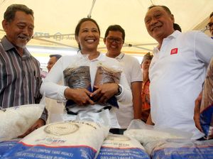 Kata Rini Soemarno soal Harga Tiket Pesawat yang Masih Mahal