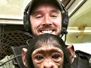 Kisahnya Viral, Ini Pilot Tampan yang Terbang dengan Simpanse Kisahnya Viral, Ini Pilot Tampan yang Terbang dengan Simpanse