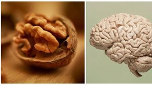 Mirip Otak dan Tulang, Makanan Ini Persis Bagian Tubuh Manusia