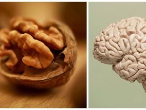 Mirip Otak dan Tulang, Makanan Ini Persis Bagian Tubuh Manusia