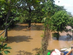 Banjir di Rawajati Pancoran Setinggi Atap Rumah