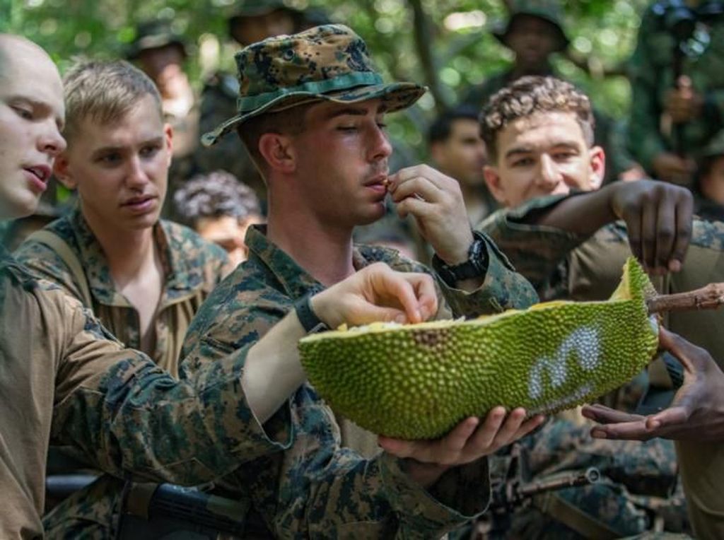 Durian dan Nangka Jadi Santapan Tim Pelatihan Korps Marinir AS di Hutan Singapura Durian dan Nangka Jadi Santapan Tim Pelatihan Korps Marinir AS di Hutan Singapura