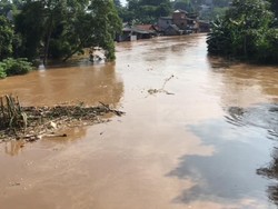 Pulau Sampah Hanyut di Sungai Ciliwung