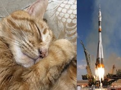 RIP Pikachu, Abu Kremasinya Akan Disebar di Luar Angkasa