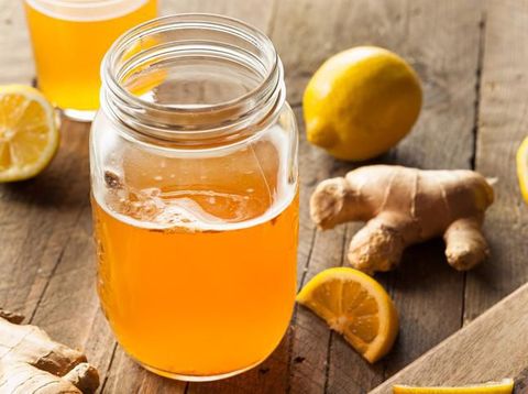 {SEO} Aturan Mengonsumsi Teh Kombucha untuk Memangkas Bobot Tubuh