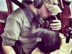 Foto: Pilot yang Viral Karena Terbang dengan Simpanse Foto: Pilot yang Viral Karena Terbang dengan Simpanse