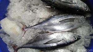 Seperti Ini Ikan dan Seafood Segar yang Dijual di Pasar Ikan Muara Baru
