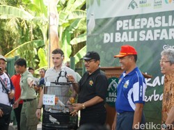 40 Jalak Bali Endemik Pulau Dewata Dilepasliarkan