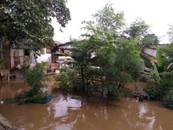 Banjir 2,5 Meter Rendam Rawajati, 1.325 Warga Terdampak
