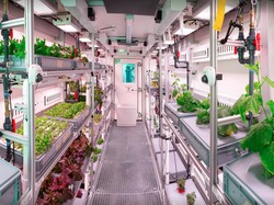 Peneliti Bisa Tanam Sayur di Antarktika dengan Metode Pertanian Vertikal