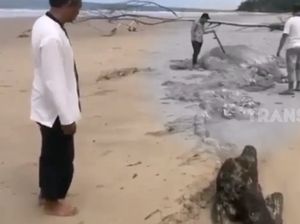 Hewan Aneh Ini Kagetkan Warga Kalimatan Utara