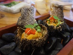 Cicip Sashimi Khusus untuk Raja Tapanuli di Atas Bulu Babi