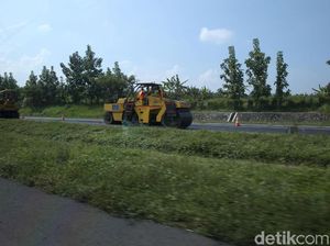 Cipaliku yang Mulus, Cipaliku yang Terurus