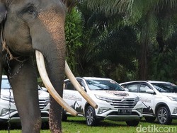 Beli Terios Sekarang Belum Bisa Dipakai saat Lebaran 2019