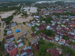 Tinjau Banjir Bengkulu, Kepala BNPB Ingatkan Lingkungan yang Berubah