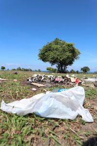 Setelah Festival Pesona Tambora, Savana Cantik Ini Penuh Sampah