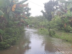 Video Dahsyatnya Banjir di Bojonegoro, Ratusan Rumah Terdampak