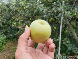 Kalender Jawa Sabtu Wage 30 September 2023: Rezeki Dipetik Orang