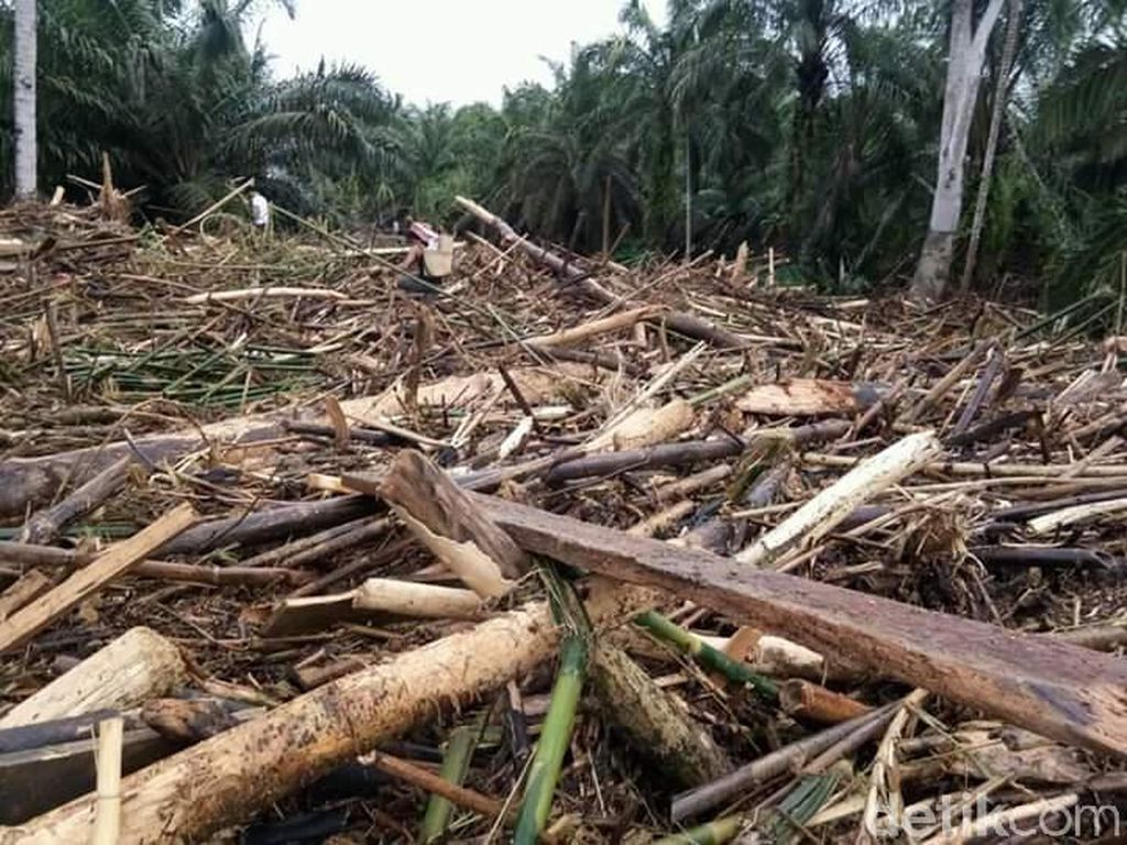 BNPB: 30 Orang Meninggal dan 6 Orang Hilang Usai Banjir di Bengkulu BNPB: 30 Orang Meninggal dan 6 Orang Hilang Usai Banjir di Bengkulu