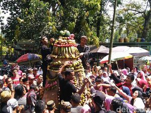 Foto: Meriahnya Tradisi Ngikis Jelang Ramadan di Ciamis Foto: Meriahnya Tradisi Ngikis Jelang Ramadan di Ciamis