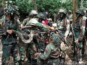 Aksi Marinir Makan Ular Saat Latihan Perang Aksi Marinir Makan Ular Saat Latihan Perang