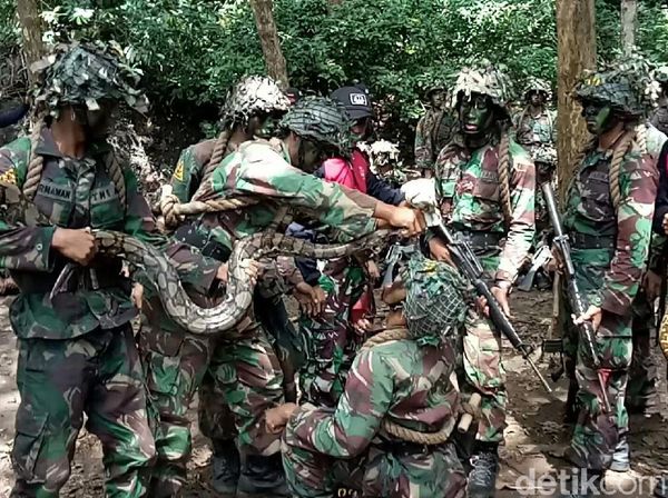 Aksi Marinir Makan Ular Saat Latihan Perang