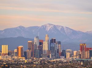 Virus Corona Baru Diumumkan Pandemi, LA Art Book Fair 2020 Dibatalkan