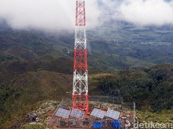 Jaringan Palapa Ring Banjir Peminat, Utilisasi Terus Meningkat
