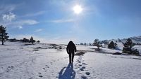 Foto: Jejak-jejak Kaki Misterius yang Diduga Yeti