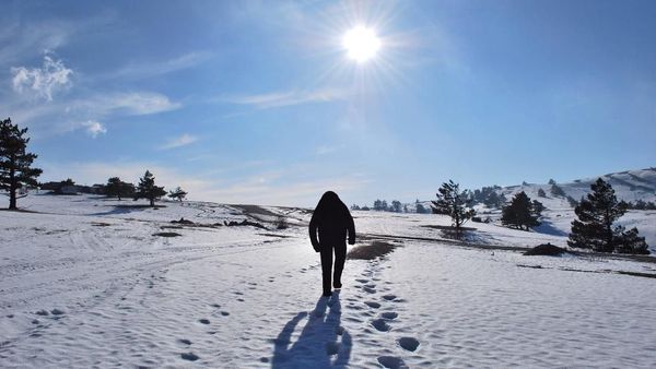 Foto: Jejak-jejak Kaki Misterius yang Diduga Yeti