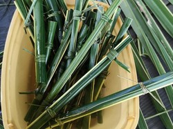 Ini Sedotan Lukay yang Ramah Lingkungan dari Daun Kelapa