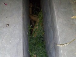 Ditemukan di Parit, Andrei Spiridonov Sembunyi Telanjang Ditutupi Semak