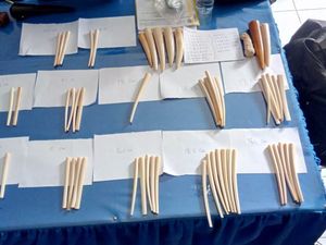 KLHK Bongkar Jaringan Perdagangan Online Gading Gajah KLHK Bongkar Jaringan Perdagangan Online Gading Gajah