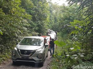 Nissan Livina Varian Termahal Lebih Laris, Kok Bisa? Nissan Livina Varian Termahal Lebih Laris, Kok Bisa?