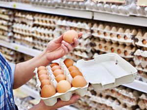 Bikin Salah Kaprah, 13 Mitos Tentang Telur Ini Masih Banyak Dipercaya Orang Bikin Salah Kaprah, 13 Mitos Tentang Telur Ini Masih Banyak Dipercaya Orang