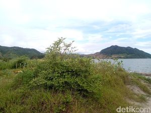 Tak Terurus, Kondisi Pantai di Dompu Ini Sangat Memprihatinkan