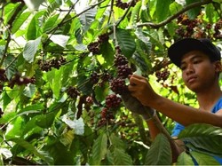 Solusi Bisnis Unggul BCA Dukung Pertumbuhan Ekonomi Masyarakat