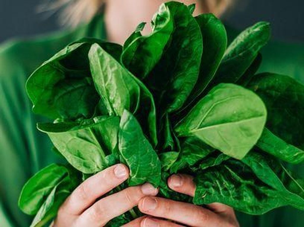 5 Cara Sehat Menikmati Aneka Sayuran Segar