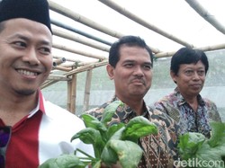 Petani Organik di Lereng Merbabu Bentuk Koperasi