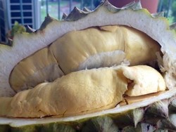 Kadar Alkohol dalam Darah Polisi China Meningkat Setelah Makan Durian