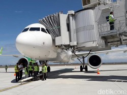 38 Pesawat Airbus di RI Terdampak Recall, Ini Daftar Maskapainya