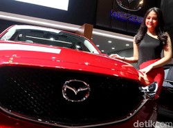 Pandemi Tak Berpengaruh, Orang Indonesia Masih Mampu Beli Mobil Baru