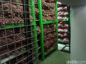 Catatan Wamendag buat Perbaikan Pengelolaan Gudang Bawang Catatan Wamendag buat Perbaikan Pengelolaan Gudang Bawang