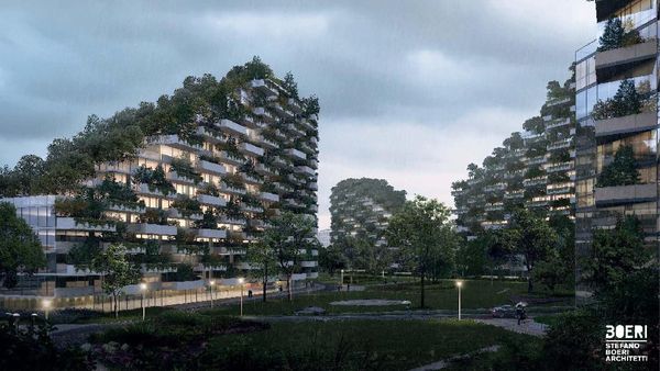 Foto: Seperti Apa Kota Hutan China?